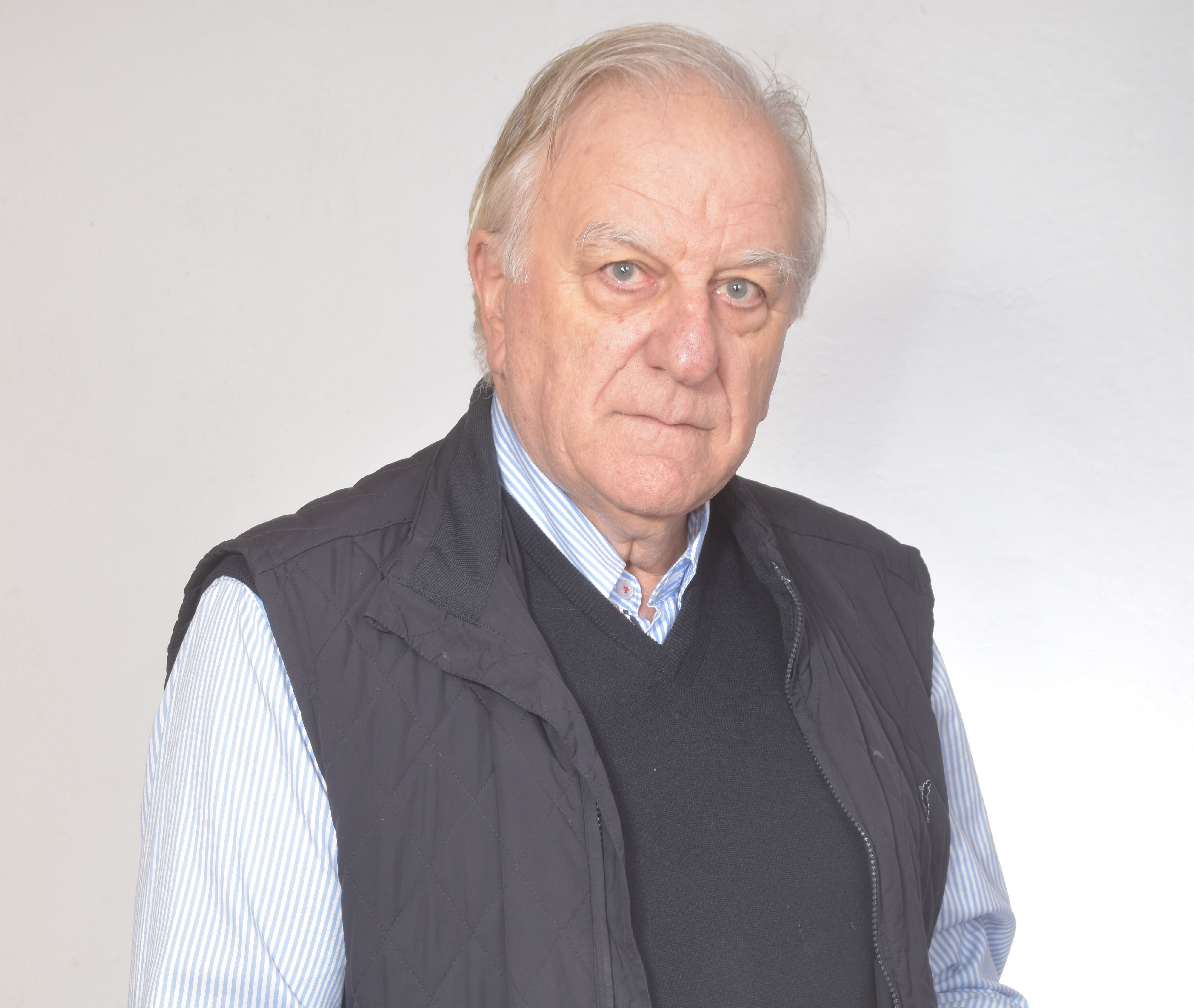 Retrato de  Coordinado por Ignacio Bel Mallén