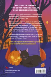 Miniatura contraportada Spooky love