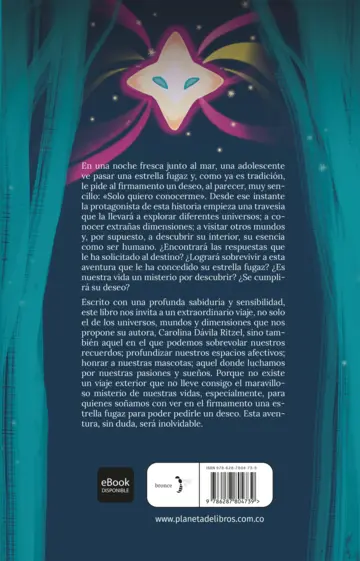 Contraportada Un misterio por descubrir