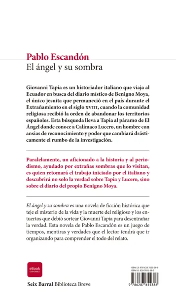 Contraportada El ángel y su sombra