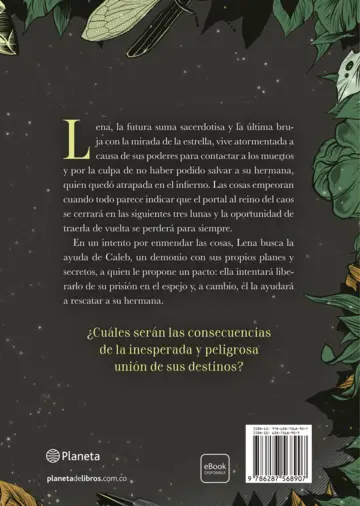 Contraportada El reflejo de la bruja