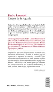 Miniatura contraportada Zanjón de la Aguada