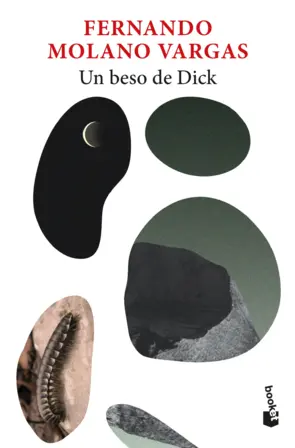 Portada Un beso de Dick