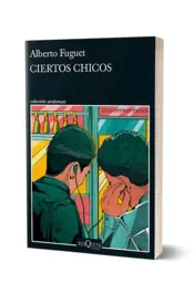 Miniatura portada 3d Ciertos chicos