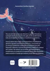 Miniatura contraportada Relato de un viaje interior