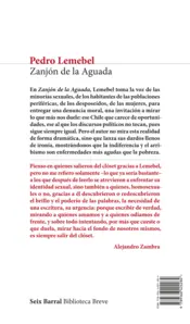 Miniatura contraportada Zanjón de la Aguada