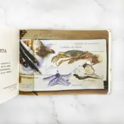 Portada Cuaderno de campo 3