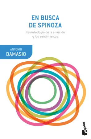 Portada En busca de Spinoza