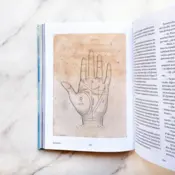 Portada Desalmados 3