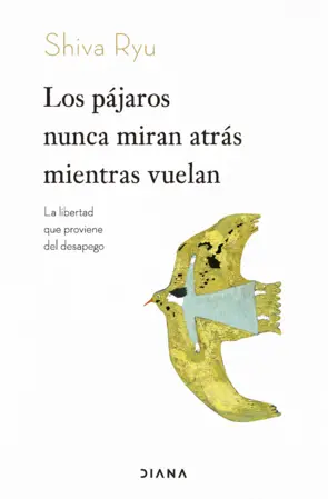 Portada Los pájaros nunca miran atrás mientras vuelan