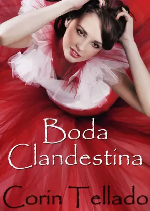 Portada Boda clandestina