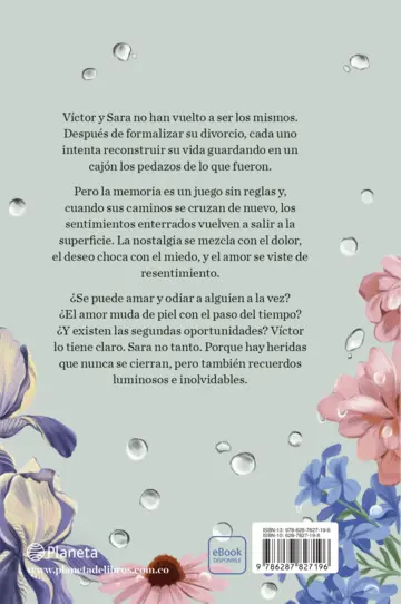 Contraportada Sigue lloviendo