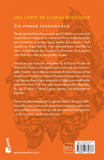 Contraportada Una corte de llamas plateadas