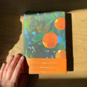 Portada Violet hace el puente sobre la hierba 0