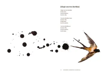 Imagen extra Para la libertad 3