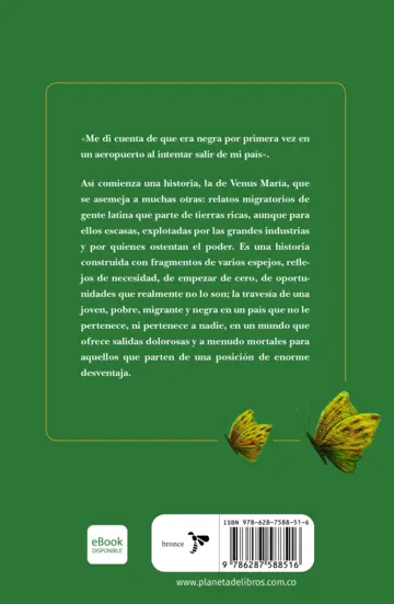 Contraportada Las cenicientas de ébano