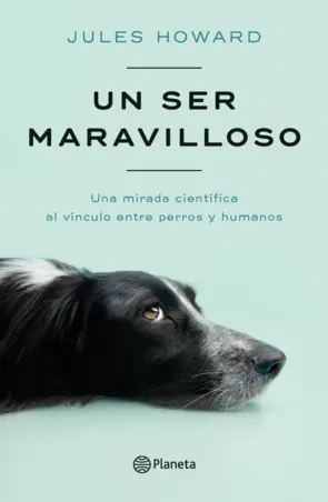 Portada Un ser maravilloso