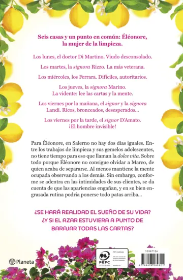 Contraportada Un rayo de sol