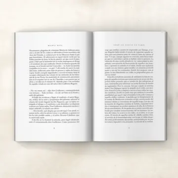 Imagen extra Sonó un violín en París 2