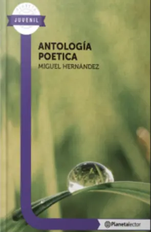 Portada Antologia Poetica - Miguel Hernandez
