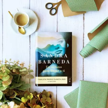 Imagen extra Un océano para llegar a ti 0